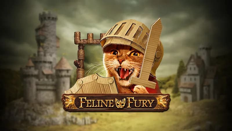 Feline Fury Review