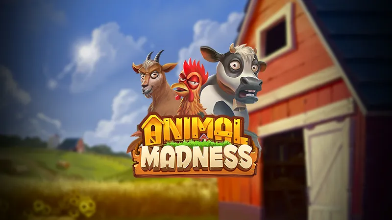 Animal Madness