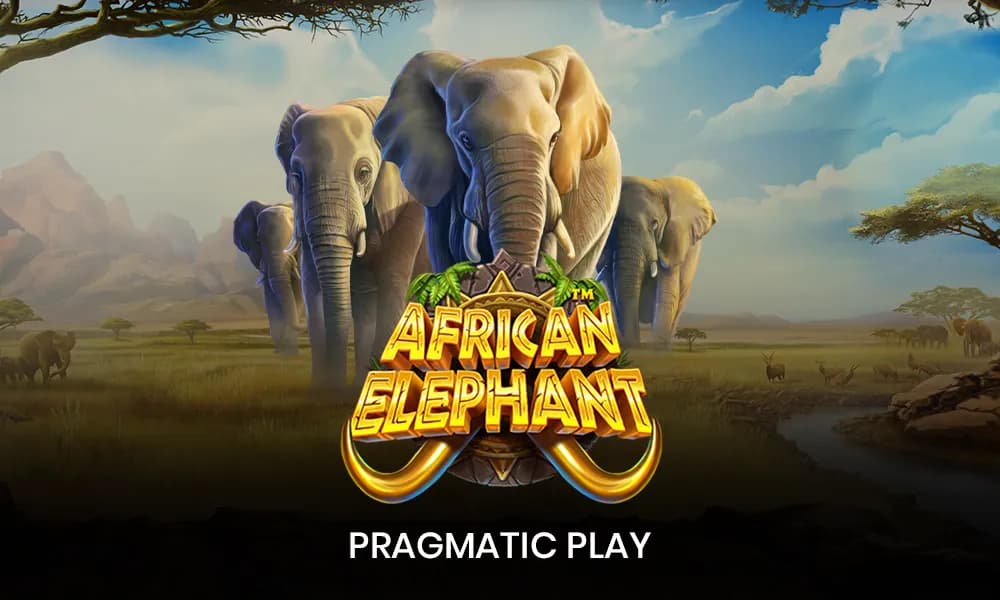 African Elephant Review