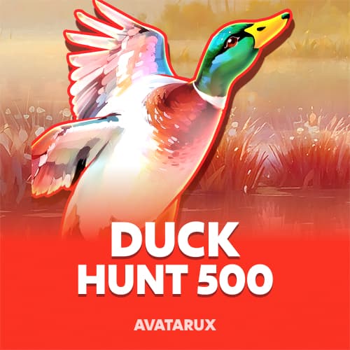 Duck Hunt 500