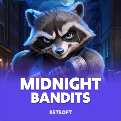 Midnight Bandits