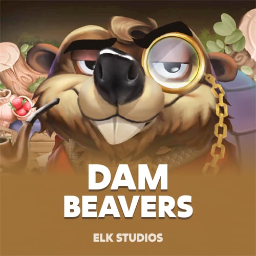 Dam Beavers