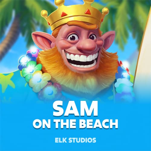 Sam on the Beach