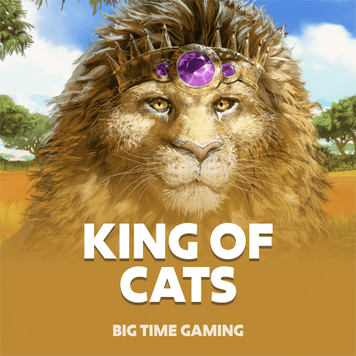 King of Cats