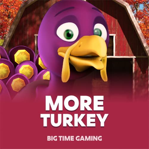 More Turkey