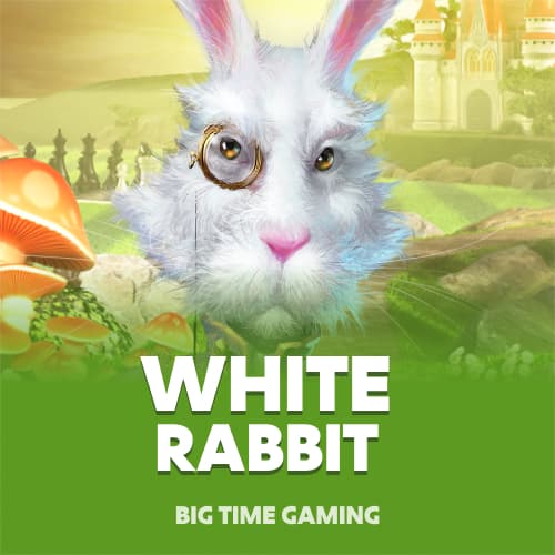 White Rabbit
