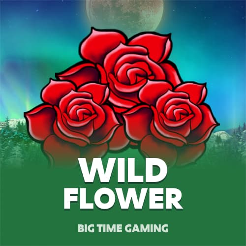 Wild Flower