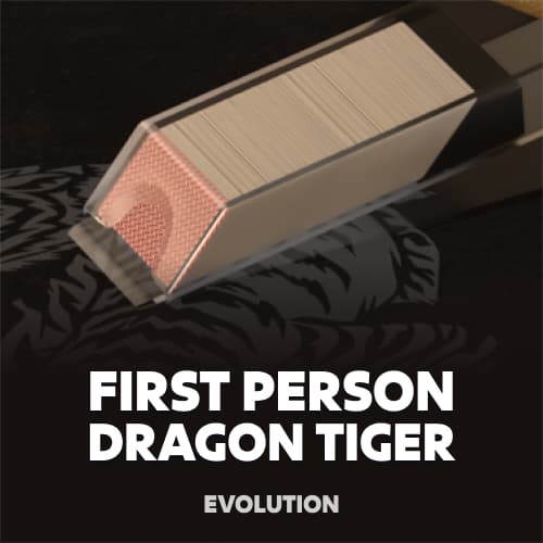 First Person Dragon Tiger