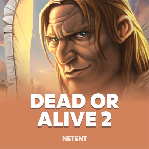 Dead or Alive 2