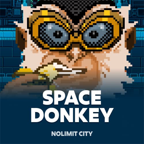 Space Donkey