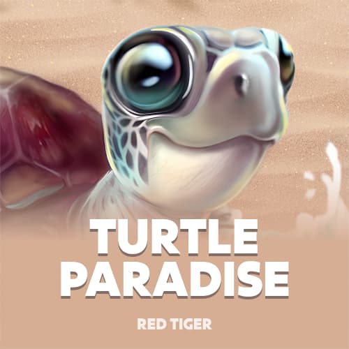 Turtle Paradise