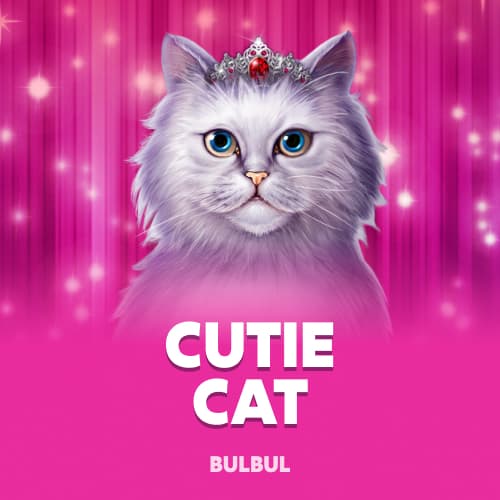 Cutie Cat