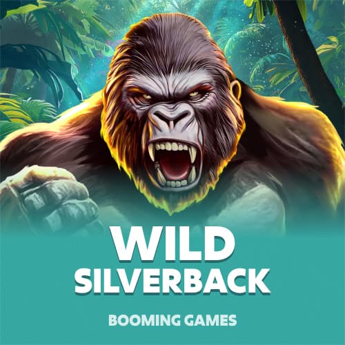 Wild Silverback
