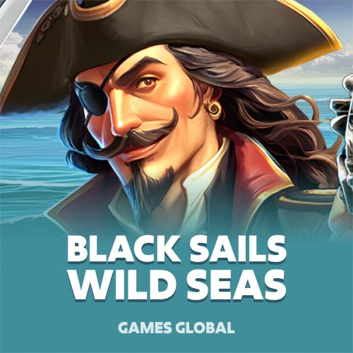 Black Sails Wild Seas