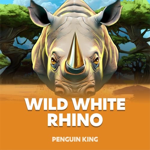 Wild White Rhino