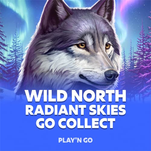 Wild North Radiant Skies