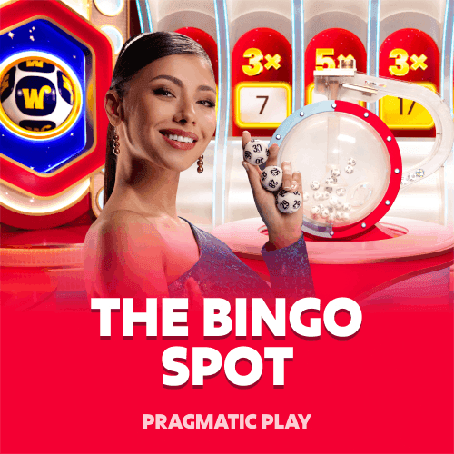 The Bingo Spot