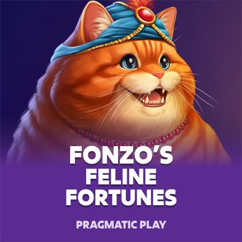 Fonzo's Feline Fortunes