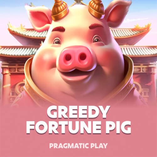 Greedy Fortune Pig