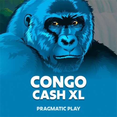 Congo Cash XL