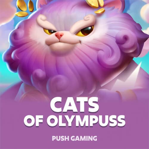 Cats of Olympuss