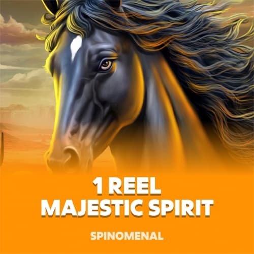 1 Reel - Majestic Spirit