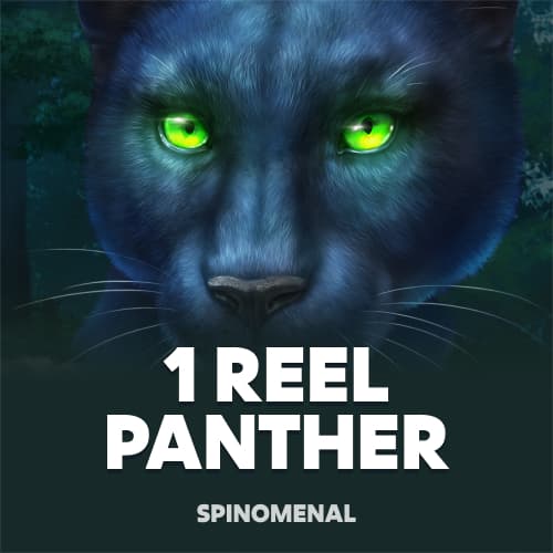1 Reel Panther