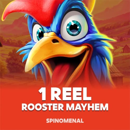 1 Reel - Rooster Mayhem