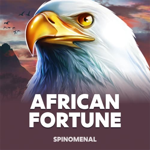 African Fortune