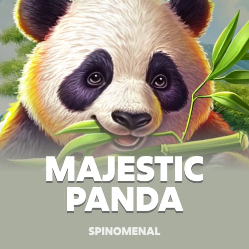 Majestic Panda