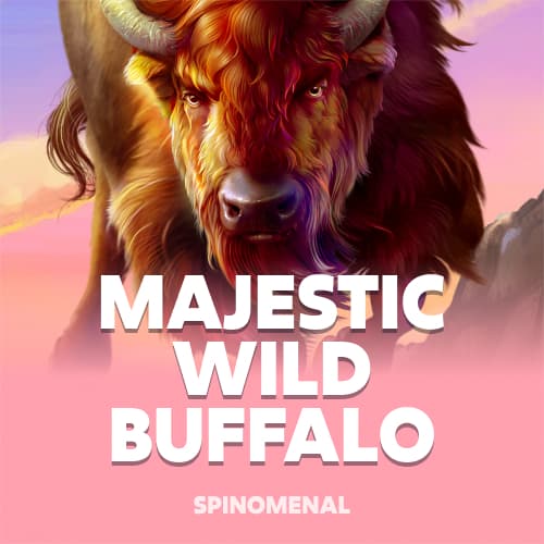 Majestic Wild Buffalo