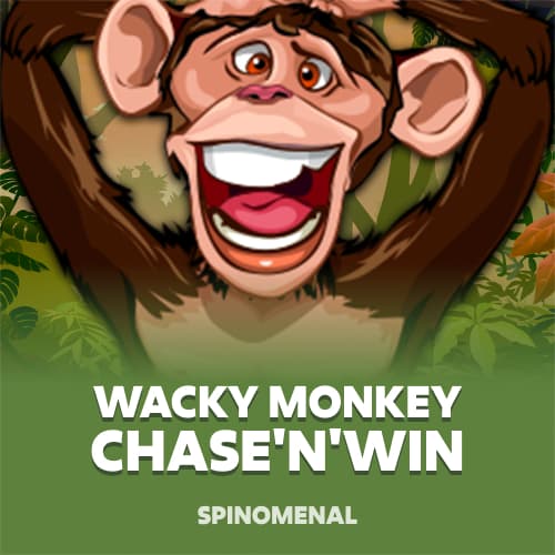 Wacky Monkey - Chase'N'Win