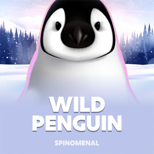 Wild Penguin