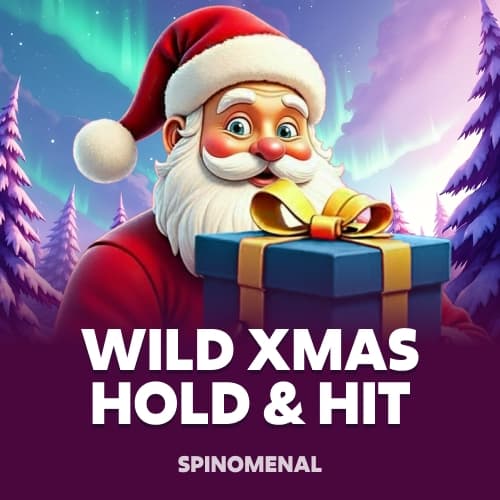 Wild Xmas - Hold & Hit