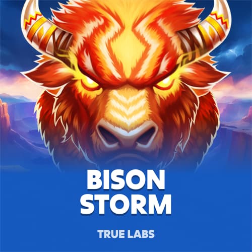 Bison Storm