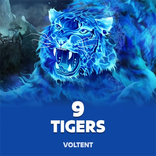 9 Tigers