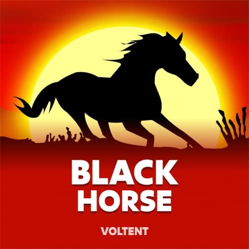 Black Horse