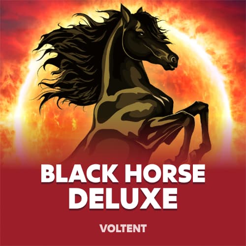 Black Horse Deluxe