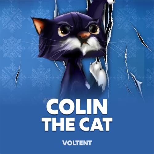 Colin The Cat