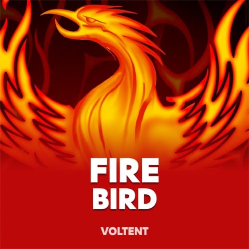 Fire Bird