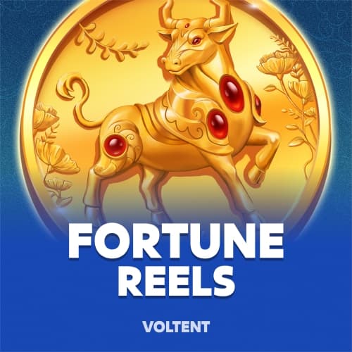 Fortune Reels