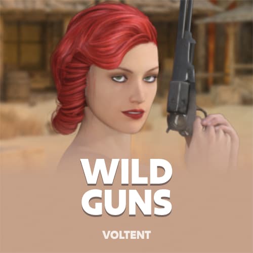 Wild Guns