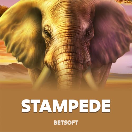 Stampede