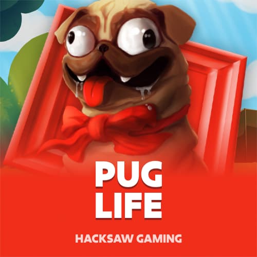 Pug Life