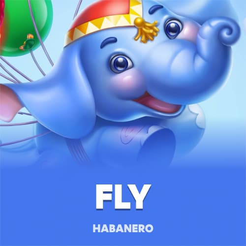 Fly