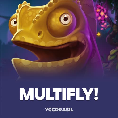 MultiFly!