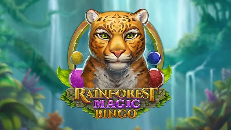 Rainforest Magic Bingo Review