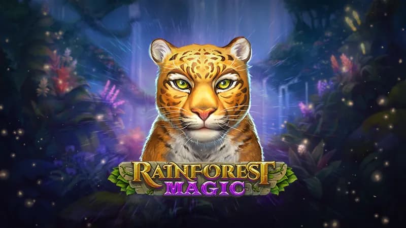 Rainforest Magic Review