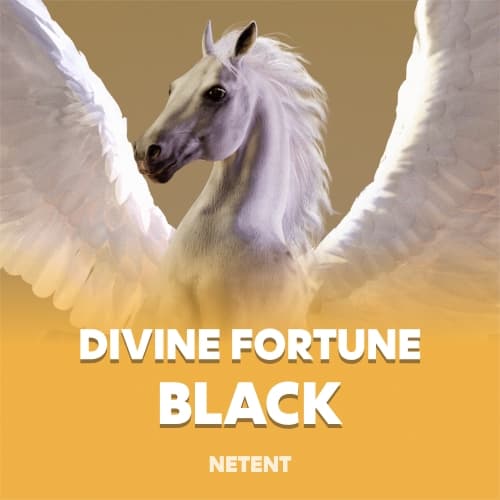Divine Fortune Black