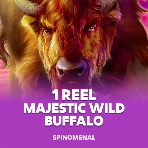 1 Reel - Majestic Wild Buffalo